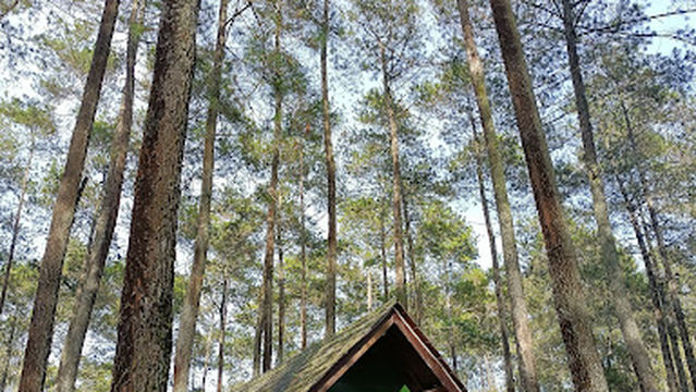 Taman Main Mili-Mili & Hutan Mycelia