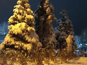 Парк