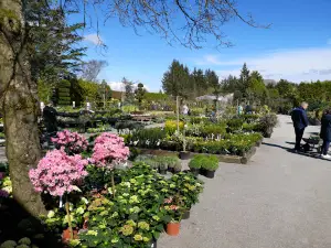 Hove Plantesalg
