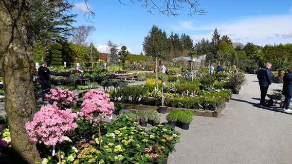 Hove Plantesalg