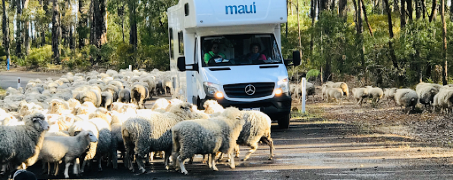 Big Valley Campsite