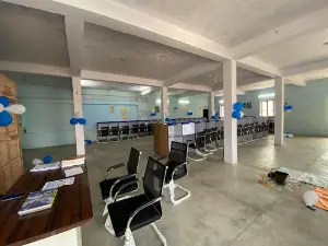 The Library