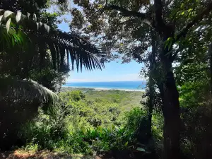 Refugio Nacional de Vida Silvestre Hacienda Barú