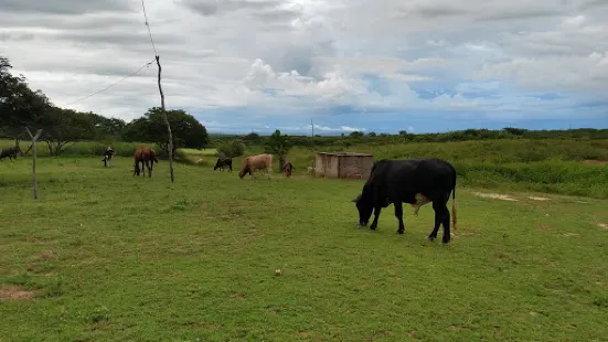 Parque De Vaquejada Sao Francisco