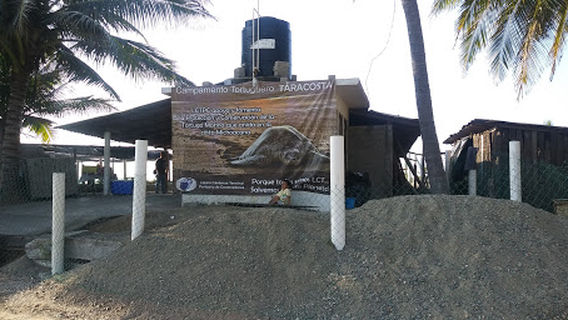 CENTRO DE PROTECCIÓN Y CONSERVACIÓN DE LA TORTUGA MARINA "TARACOSTA"