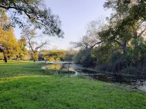 Berry Springs Park and Preserve