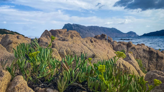 Spiaggia Grande Baia
