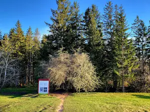 Kevele springs