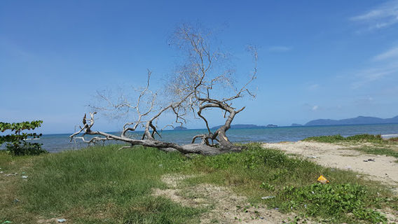 普塔坦