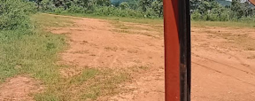 View point