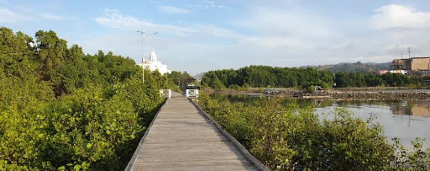 Tracking Mangrove Lahundape