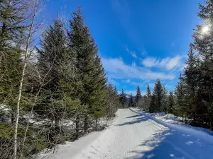 Centro Sportivo Isola