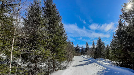 Centro Sportivo Isola