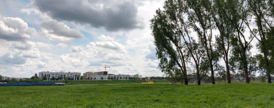 Rheinaue Zons-Rheinfeld und Altrheinschlinge Zons
