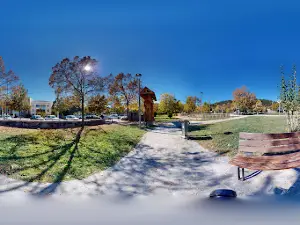 The Park of Mushrooms