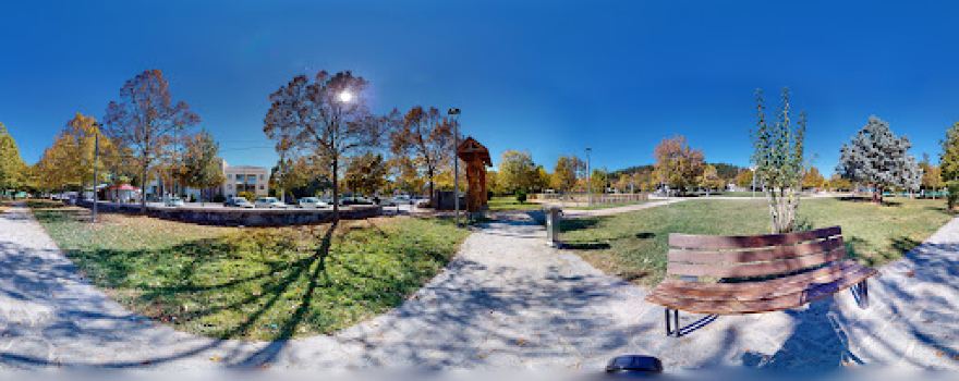 The Park of Mushrooms