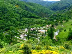 Camping L'ardechois, Camping Ardechois
