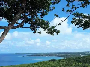 Limestone forest trail