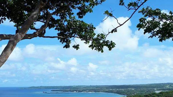 Limestone forest trail