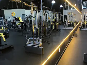 Alpha sports