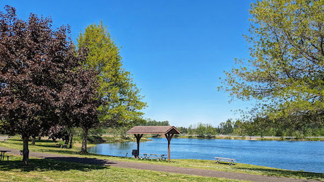 South County Park Wallace Pond Toledo