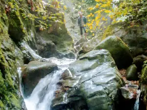 Bukit Duabelas National Park