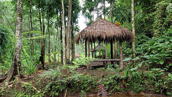 Wisata Alam Gedung Guo