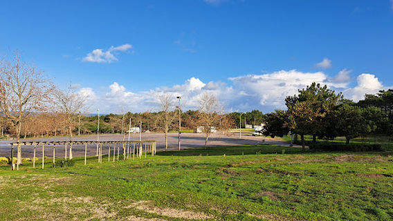 Pinhal da Casa de Nossa Senhora da Nazaré
