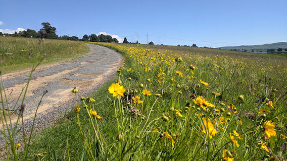Himeville Nature Reserve