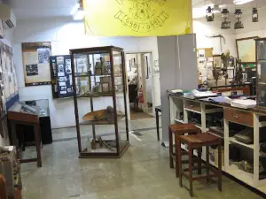 Wyndham Historical Society Museum