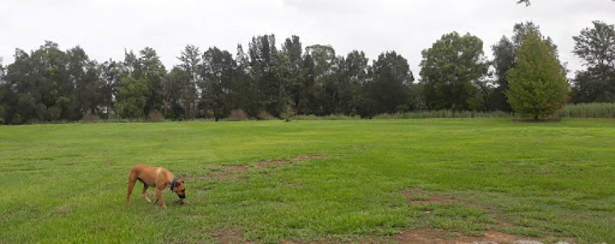 Branxton Off-leash Dog Park