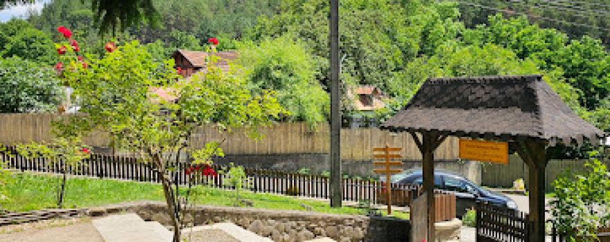 Chihlimbarul de Buzău