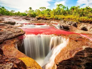 Parque Nacional Natural Serranía de La Macarena