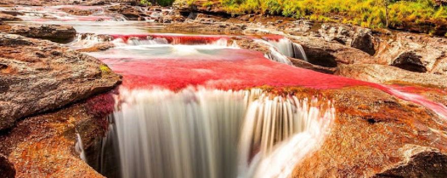 Parque Nacional Natural Serranía de La Macarena