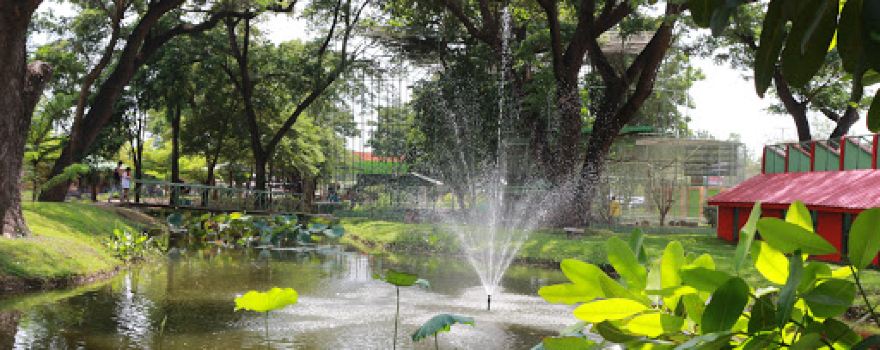 Surasi Camp Zoo