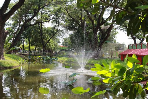 Surasi Camp Zoo