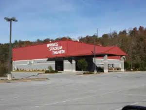 The Springs Stadium 4