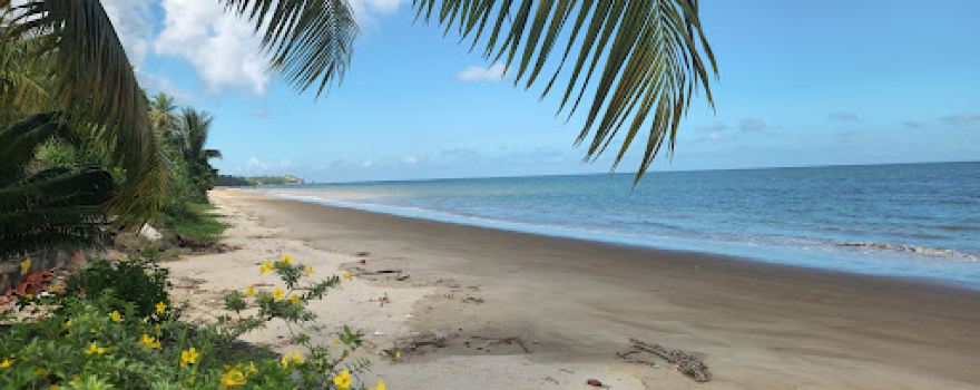 Sea La Vie Retreat