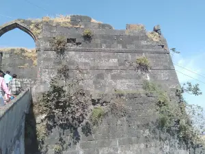Pavagadh Mata Ji temple