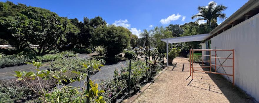 The Garden Shed