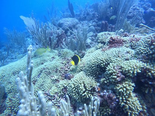 Sosua Diving Center