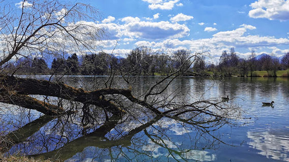 Badesee Liefering - Salzachseen