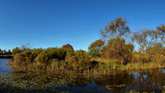 Парк Уируна