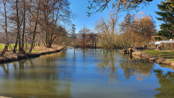 Waldcampingplatz Bad Zwesten