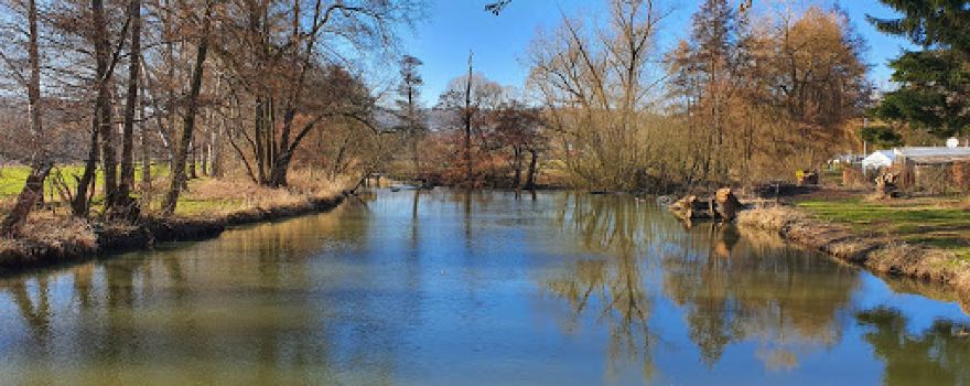 Waldcampingplatz Bad Zwesten