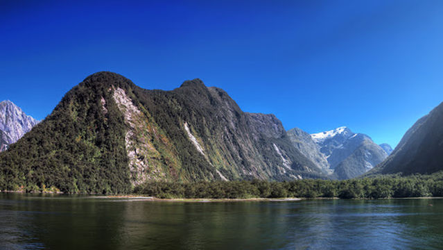 Milford Sound Underwater Observatory - Southern Discoveries
