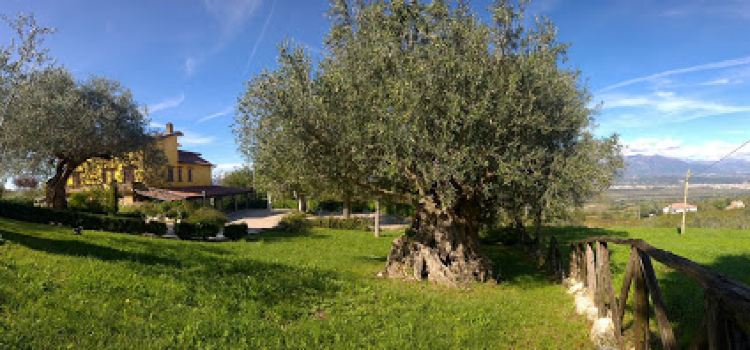 Locanda Radici di Angelo D'Amico