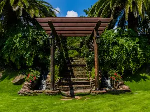 Finca La Vikina