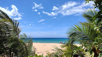 Hunting and Fishing Beach
