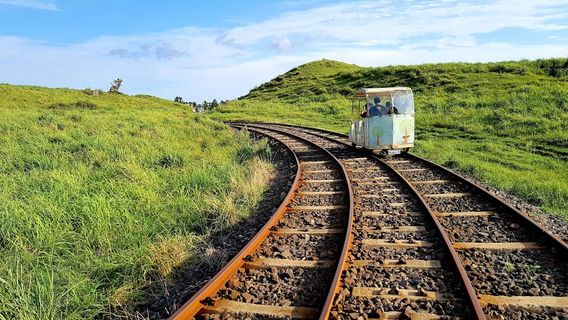 Jeju Rail Bike